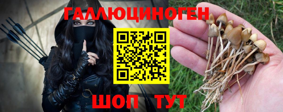 Корсаков  Галлюциногенные грибы прущие грибы  Вход с VPN 